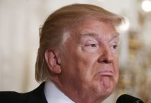 Donald Trump news: Golf course sparks Scottish environmentalist meltdown | UK | News (Reports)