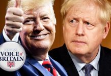 Donald Trump would be better for Brexit as US election looms – ‘Biden bad for UK!’ | UK | News (Reports)