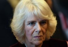 Duchess of Cornwall snub: How the Queen downgraded Camilla’s position – ‘Humiliated’ | Royal | News (Reports)