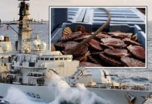 EU fisheries fury: Royal Navy urged to intervene in scallop wars | UK | News (Reports)