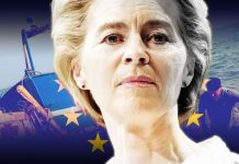 EU news: Brussels’ bombshell admission over its OWN fishing policy exposed | UK | News (Reports)