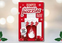FREE Bumper Festive Puzzle Book – Just pay postage | UK | News (Reports)