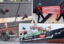 Fishing latest: Activists halt German-registered vessel ‘in UK protected area’ | UK | News (Reports)