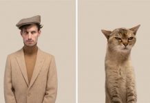 Hairstyles, beards and moustaches are shared by cats and humans (Reports)