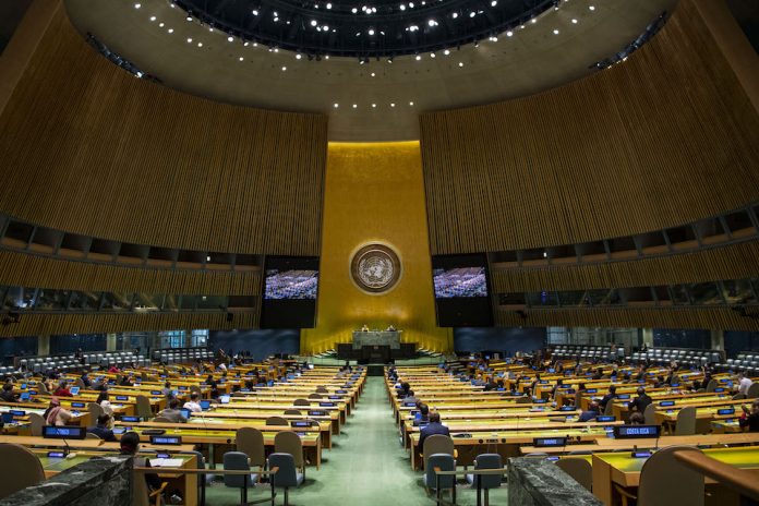 UN General Assembly (UN Photo)