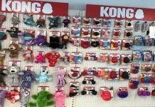 Kong pays out for green projects after breaking packaging rules