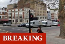 London horror as female police officer stabbed in busy street | UK | News (Reports)
