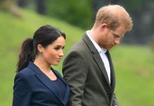 Meghan Markle and Harry ‘couldn’t care less’ about popularity nosedive – Sussex fans react | Royal | News (Reports)