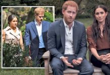 Meghan Markle and Prince Harry told to ‘stay out of ‘ US politics ahead of election | Royal | News (Reports)