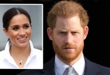 Meghan Markle news: Harry may not share Duchess’ ambition – ‘Not a political animal’ | Royal | News (Reports)