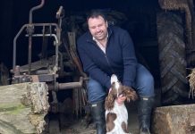 New law to stop horror of healthy dogs separated from owners and put down | UK | News (Reports)