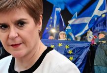 Nicola Sturgeon ‘gifted secret independence weapon’ as Brexit talks boil over | UK | News (Reports)