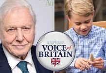 Prince George should NOT return megalodon tooth to Malta – poll | Royal | News (Reports)
