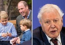Prince George’s surprise rivalry with Malta over Attenborough gift: ‘Like Elgin Marbles!’ | Royal | News (Reports)
