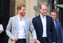 Prince Harry and Prince William spark relationship-mending hopes with new philosophy | Royal | News (Reports)