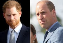 Prince Harry and William’s recent schedule ‘clash’ was ‘very different’ after Megxit | Royal | News (Reports)