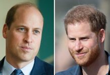 Prince Harry condemned to be ‘fall guy’ for William to protect reputation of future King | Royal | News (Reports)