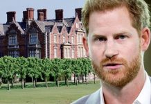 Prince Harry desperate for beloved royal role to be returned as part of Megxit overhaul | Royal | News (Reports)