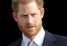 Prince Harry erupts at online cowards – ‘Nobody would say that in person!’ | Royal | News (Reports)