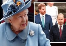 Prince Harry feud with William is SERIOUS risk to monarch – royal warning | Royal | News (Reports)