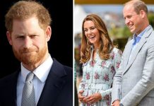 Prince Harry heartbreak: Prince William ‘replaced Harry with Kate Middleton’ – expert | Royal | News (Reports)