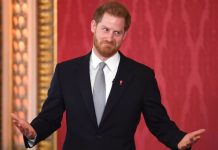 Prince Harry heartbreak: Royal precedent Duke could follow to ‘relinquish’ Sussex title | Royal | News (Reports)