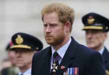 Prince Harry heartbreak as Duke ‘cannot join’ royal Remembrance service this year | Royal | News (Reports)