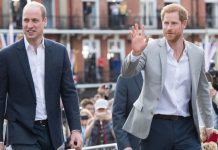 Prince Harry news: Dukes’ relationship with William ‘probably broken’, expert says | Royal | News (Reports)