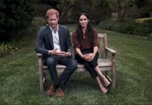 Prince Harry news: Harry told to ‘renounce allegiance’ to the Queen after US election move | Royal | News (Reports)