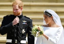 Prince Harry news: Star doesn’t ‘know’ Sussexes despite being front row at royal wedding | Royal | News (Reports)
