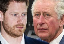 Prince Harry snub as Charles removes collectable named after him from Highgrove | Royal | News (Reports)