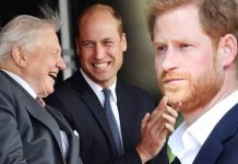 Prince Harry’s ‘swipe’ at William uncovered: ‘Prizes make no difference’ | Royal | News (Reports)