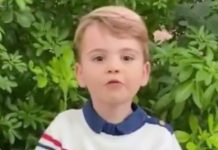 Prince Louis steals show in new video as royal fans delighted – ‘Made me melt!’ | Royal | News (Reports)