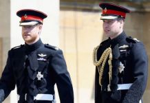 Prince William: Duke of Cambridge urged to address Prince Harry feud rumours by author | Royal | News (Reports)