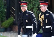 Prince William could take Prince Harry’s former military role says expert | Royal | News (Reports)