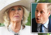 Prince William fury: Camilla’s shock confession about William – ‘that boy’s got a temper!’ | Royal | News (Reports)