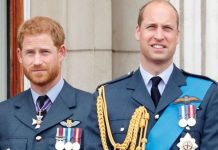 Prince William news: Lord shuts down row after Duke intervention ‘What if Harry said it?’ | Royal | News (Reports)