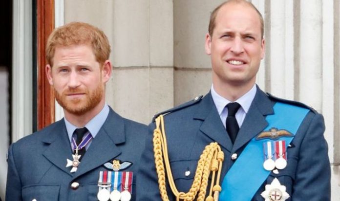 Prince William news: Lord shuts down row after Duke intervention ‘What if Harry said it?' | Royal | News