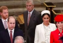 Prince William plotted to stop brother Prince Harry marrying Meghan Markle – royal claims | Royal | News (Reports)