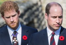 Prince William ‘set Harry up to fail’ after Duke of Sussex ‘overshadowed’ future king | Royal | News (Reports)