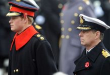 Princes Harry and Andrew face being excluded from Remembrance Sunday services at Cenotaph | Royal | News (Reports)
