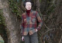 Princess Anne: Could Anne ever be Queen? | Royal | News (Reports)