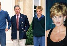 Princess Diana feared ‘Queen and Charles plotted to separate her from royal sons’ | Royal | News (Reports)