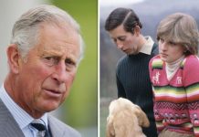 Princess Diana news: Royal found crucial element of Prince Charles’ life ‘impossible’ | Royal | News (Reports)