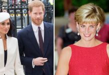 Princess Diana news: Why Princess ‘won over Britain while Harry and Meghan struggled’ | Royal | News (Reports)