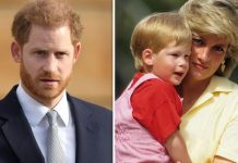 Princess Diana’s poignant prediction over Prince Harry’s ‘happiness’ Duke is yet to fulfil | Royal | News (Reports)