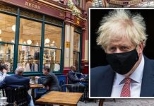 Pub closures: Are ALL pubs and restaurants closing in the UK? | UK | News (Reports)