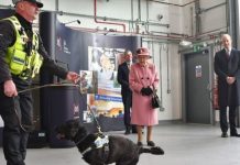Queen BACKLASH: Fury at monarch and Prince William after public appearance | Royal | News (Reports)