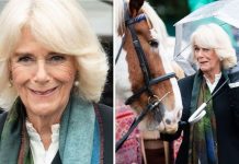 ‘Queen’ Camilla delights royal fans with latest visit – ‘She deserves to be Queen’ | Royal | News (Reports)