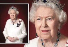 Queen Elizabeth II picture: Royals fans gush over new portrait of the Queen – ‘Majestic!’ | Royal | News (Reports)